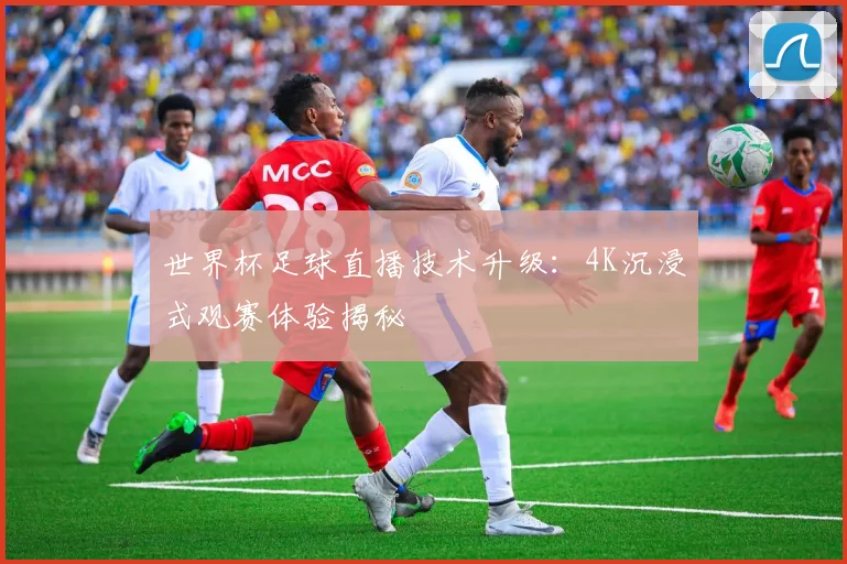 世界杯足球直播技术升级:4K沉浸式观赛体验揭秘