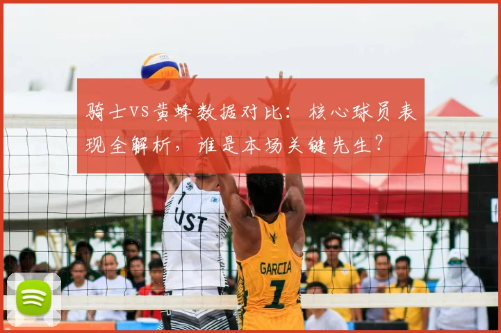 骑士vs黄蜂数据对比：核心球员表现全解析，谁是本场关键先生？