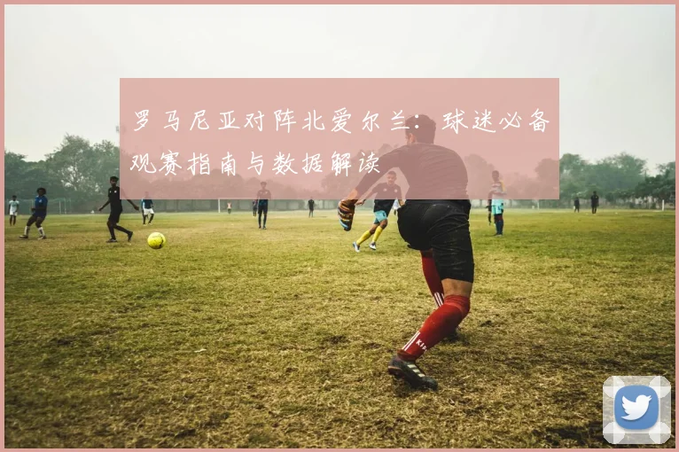 罗马尼亚对阵北爱尔兰：球迷必备观赛指南与数据解读
